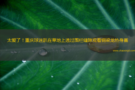 太爱了！重庆球迷趴在草地上透过围栏缝隙观看铜梁龙热身赛